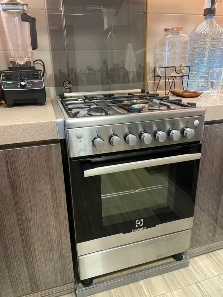 Gas Cooker with Fan 1