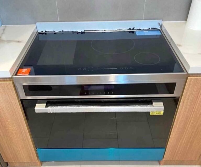 Induction Cooker 22