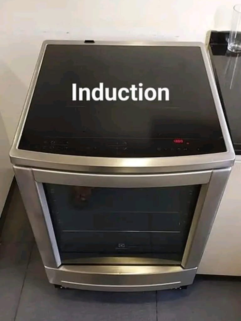 Induction Cooker 3
