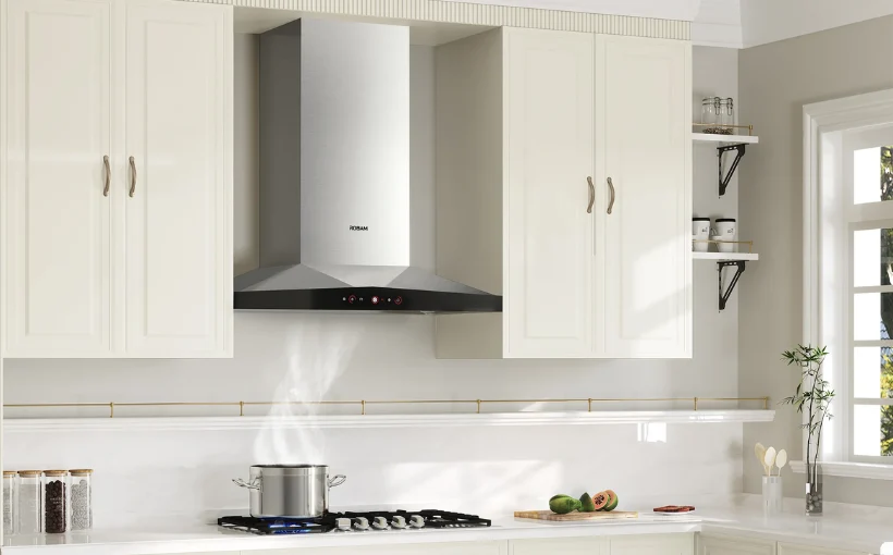 Wall Mounted Hood